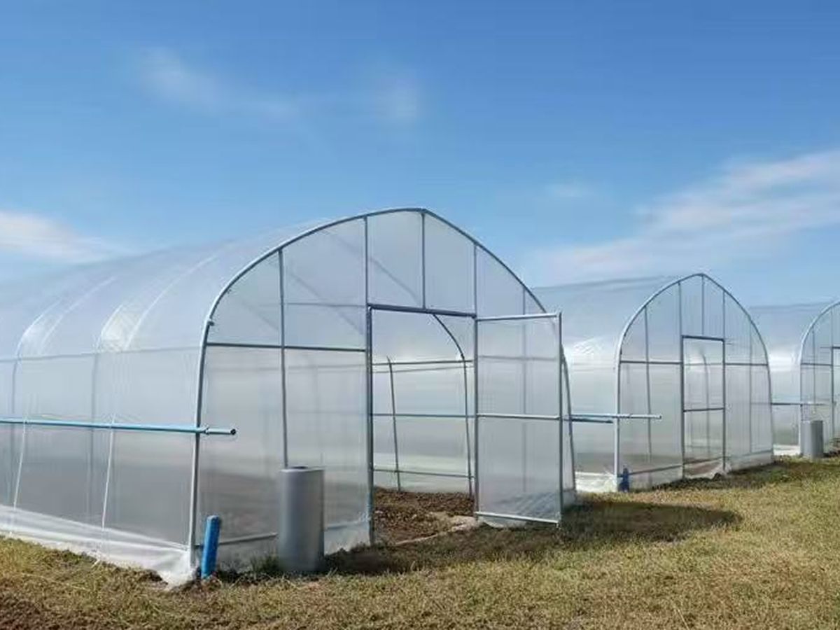 Greenhouse Film Thickness and Additives: A Buyer’s Specification Guide